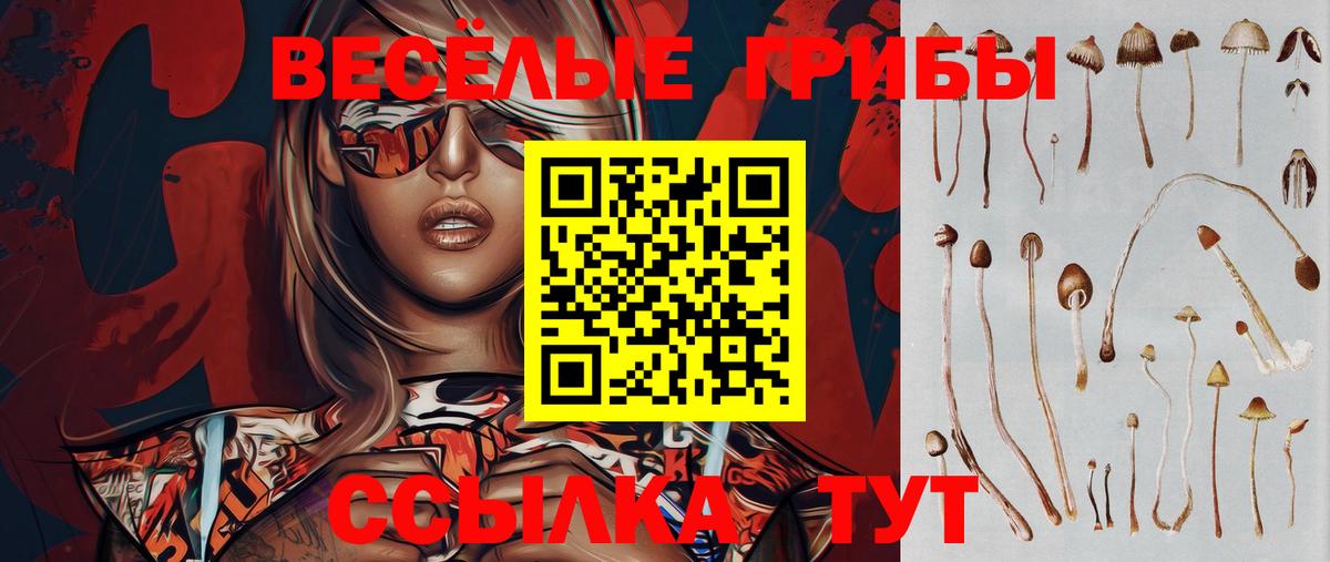 Галлюциногенные грибы MAGIC MUSHROOMS  Вход с VPN  Ульяновск 