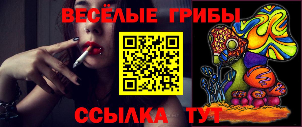 Псилоцибиновые грибы GOLDEN TEACHER Ульяновск